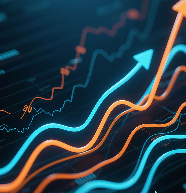 廣東省某市財政局項目